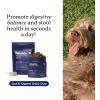 imagePetLabCo  Gut ampamp Digest Daily Duo Pumpkin Powder Blend for Easy Digestion ampamp Firm Stools for SmallMediumLarge Dogs ampamp SalmonFlavoured Probiotic Chews to Support Gut ampamp Immune Balance  Easy to Use